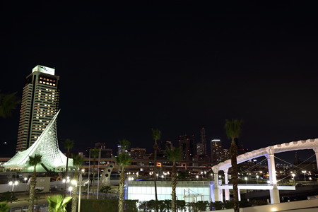 神戸夜景6