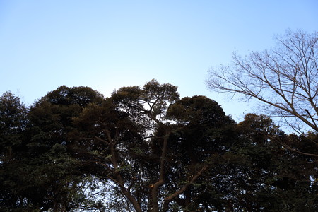 見上げれば、、、