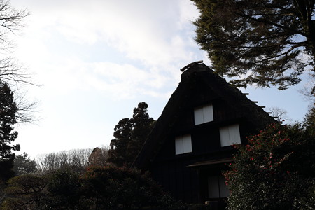 1DX2東山59