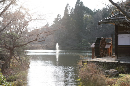 1DX2東山60
