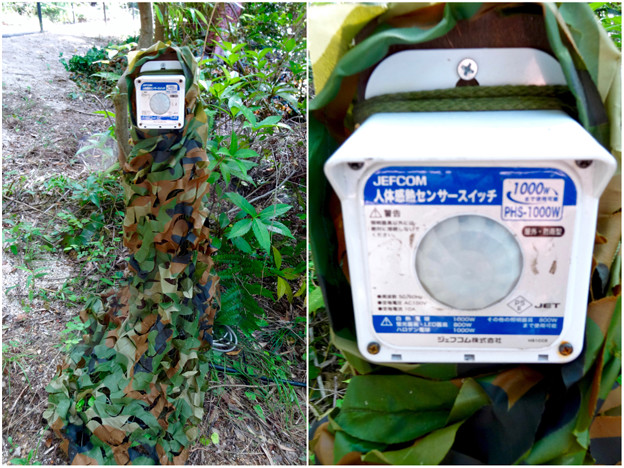 大高緑地に「ディノアドベンチャー名古屋」がプレオープン! - 100:人感センサー