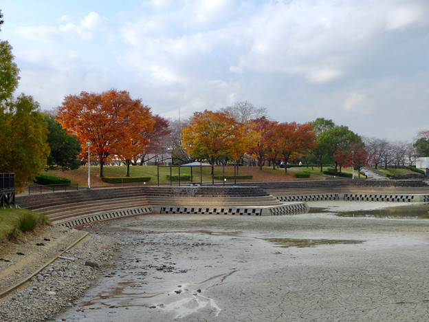 落合公園の紅葉 - 27