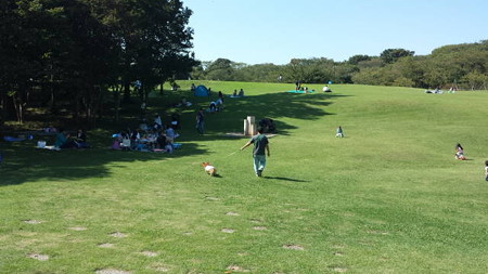20140928_130659