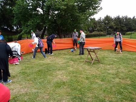 IMG_20160424_131446