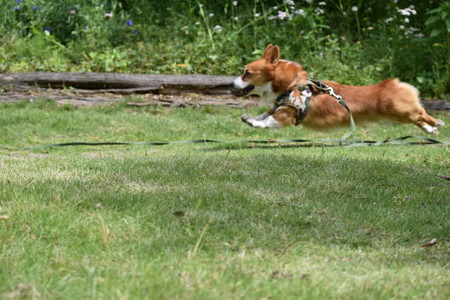DSC_0488