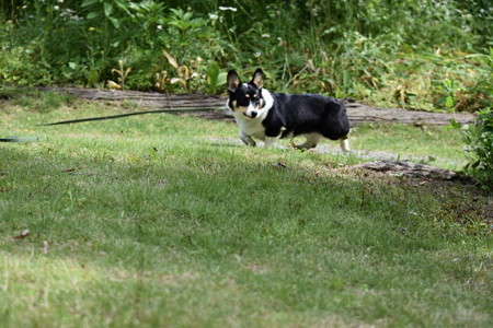 DSC_0492