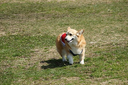 DSC07142
