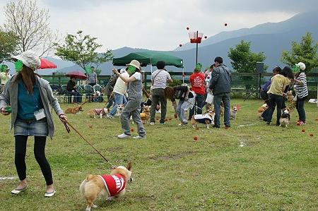DSC09892