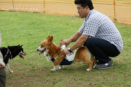 DSC00589