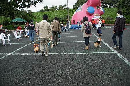 DSC04489