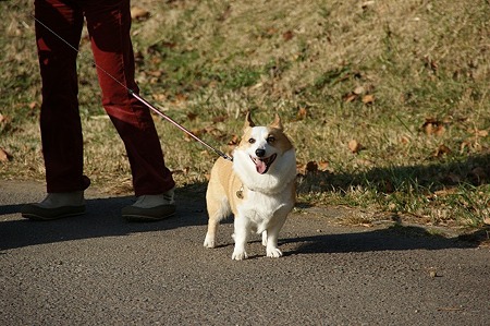 DSC05501
