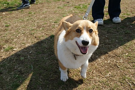 DSC08410
