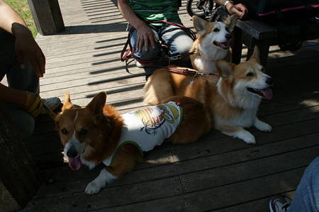 DSC00102