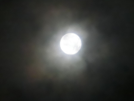 CIMG1287