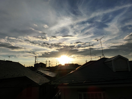 CIMG1356