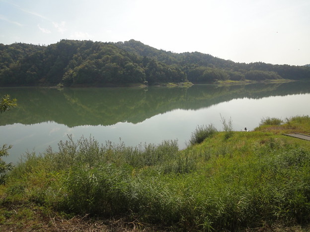 DSC03210