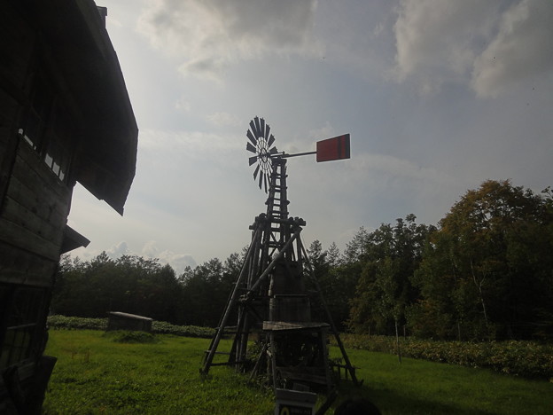 DSC03245