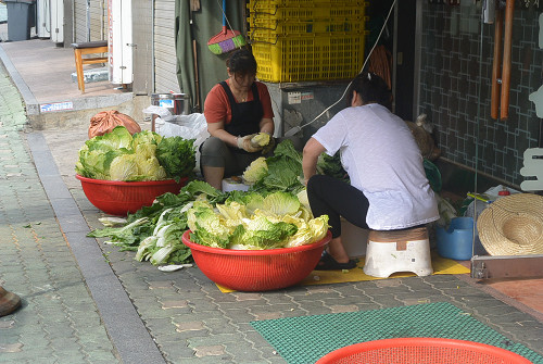 resize0194 写真: resize0194