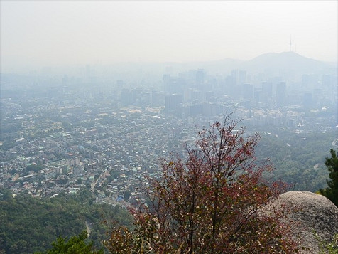 resize0307 写真: resize0307