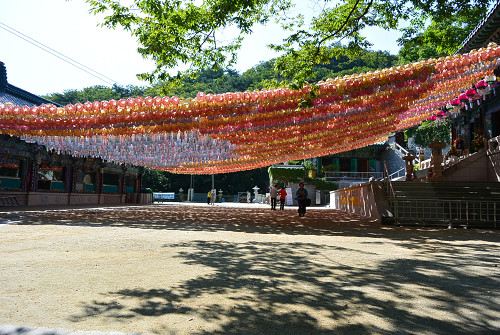 resize0657 写真: resize0657