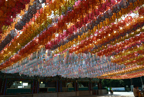 resize0661 写真: resize0661