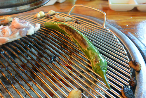 resize0742 写真: resize0742