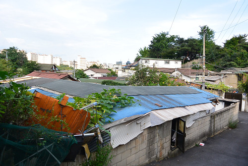 resize0812 写真: resize0812
