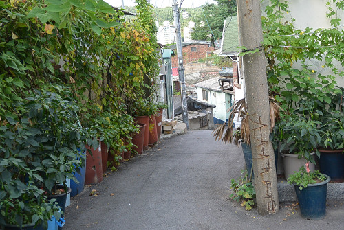 resize0813 写真: resize0813