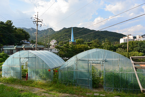 resize0818 写真: resize0818