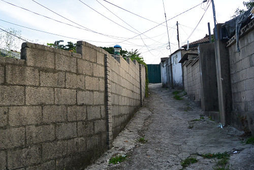 resize0826 写真: resize0826