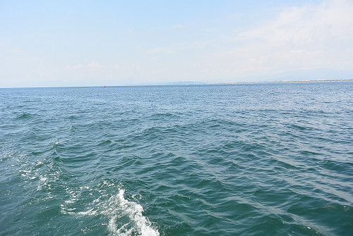 resize0152 写真: resize0152