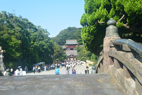 resize0181 写真: resize0181