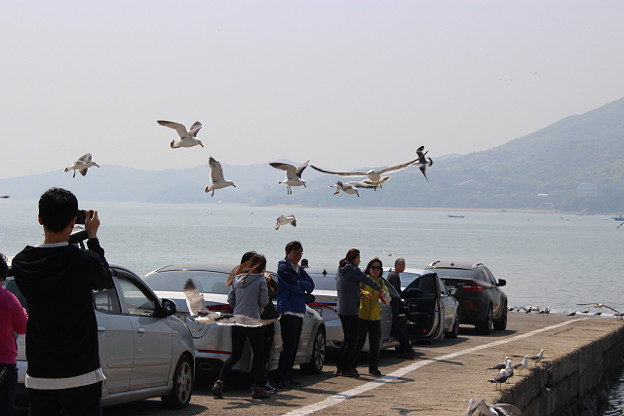 resize9983 写真: resize9983