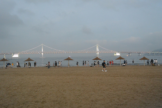 resize11460 写真: resize11460