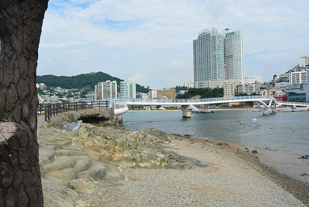 resize11557 写真: resize11557