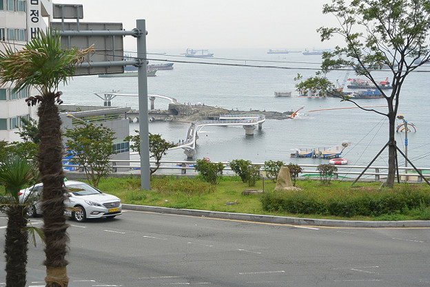 resize11549 写真: resize11549
