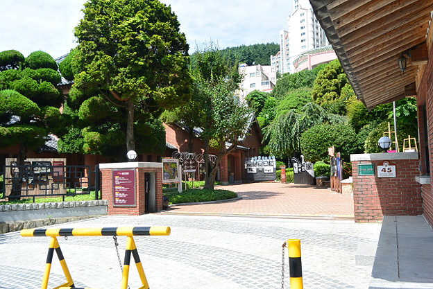 resize11623 写真: resize11623