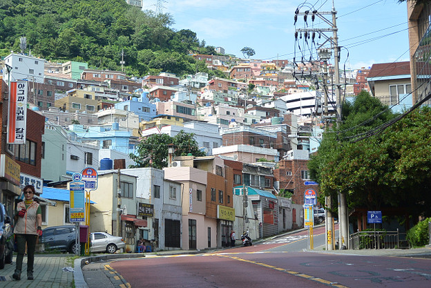 resize11613 写真: resize11613