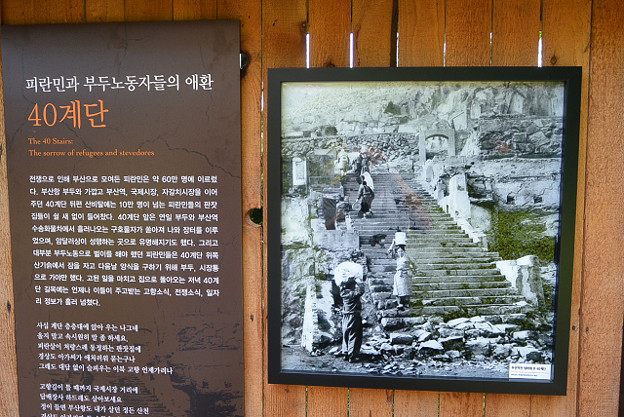 resize11648 写真: resize11648