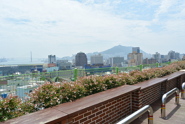 resize11728 写真: resize11728