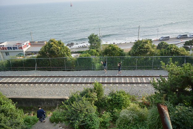 resize11777 写真: resize11777