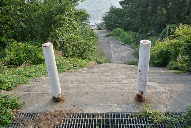 resize11776 写真: resize11776