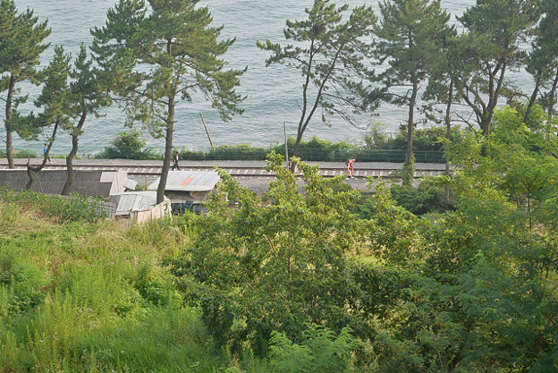 resize11775 写真: resize11775