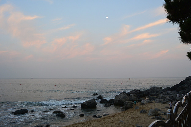resize11799 写真: resize11799