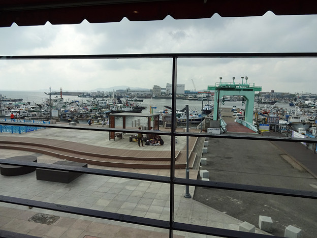 resize12201 写真: resize12201
