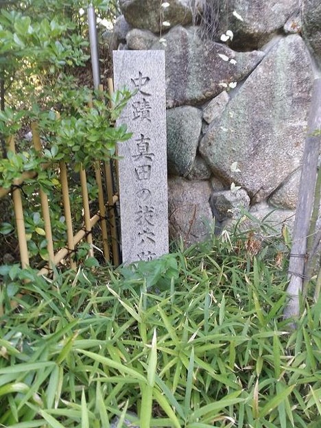 resize12507 写真: resize12507