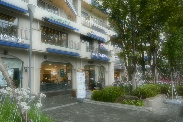 resize12881 写真: resize12881