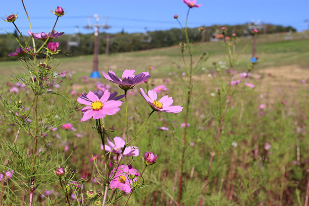 resize13727 写真: resize13727
