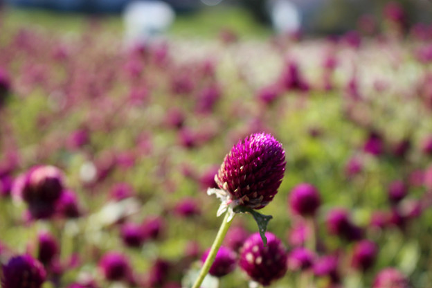resize13738 写真: resize13738