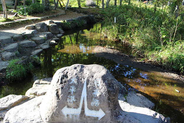resize13746 写真: resize13746